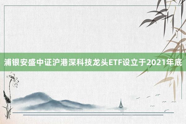 浦银安盛中证沪港深科技龙头ETF设立于2021年底